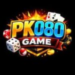PK080 Game