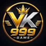 VK 999 Game